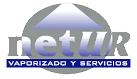 Logo Netur